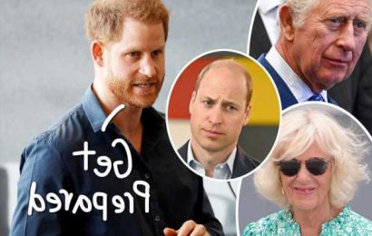 Prince Harry’s Memoir Might Be Pushed To Next Year Over Concerns The 'Truth Bombs' Are Too Big!