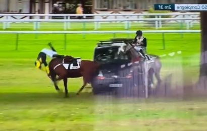Chaos as van ploughs into two horses and jockey somersaults to the ground in horrific scenes | The Sun
