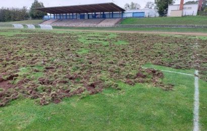 Football club fumes as WILD BOARS destroy pitch and cause thousands of pounds in damage | The Sun