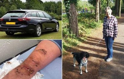 Hunt launched for owners after woman, 56, was mauled by dogs
