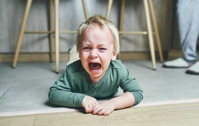 I’m a psychologist, there are four types of toddler tantrum parents need to know about & smarts ways to get over them | The Sun