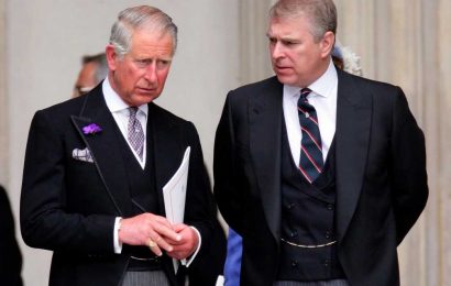 Prince Andrew 'lobbied hard' to stop Charles from becoming king, explosive book claims | The Sun