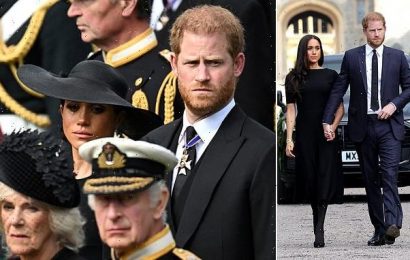 Prince Harry and Meghan &apos;want to delay Netflix series&apos;, sources claim