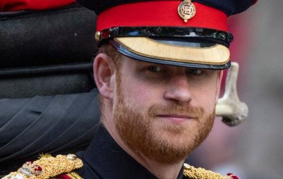Prince Harry to ‘dump book deal’ after Queen’s funeral, says royal photographer