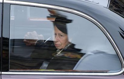 Queen chose Princess Anne to accompany funeral cortege