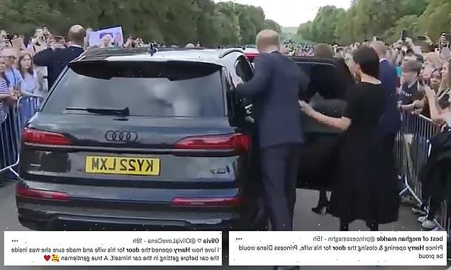 Royal fans &apos;swoon&apos; over Prince Harry&apos;s sweet gesture during walkabout