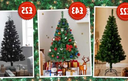 Cheapest Christmas trees you can buy now from just £11 – including B&Q and Argos | The Sun