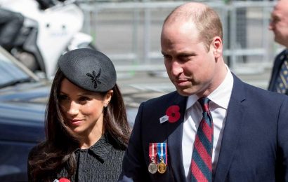 Meghan Markle and Prince William share this unexpected passion