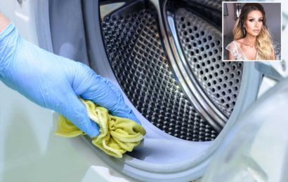 Mrs Hinch fans rave about 80p hack to 'properly' clean washing machines with no faff involved | The Sun