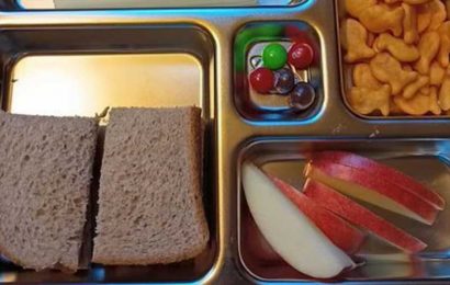 Mum shares a picture of the 'perfect' (and realistic) school lunchbox – and hundreds of other parents praise her | The Sun