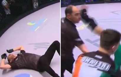 Watch as referee is brutally floored by MMA star's flying kick – but merciless fans are all saying the same thing | The Sun