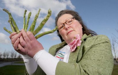Fortune teller predicts how far England will get in the world cup using asparagus | The Sun