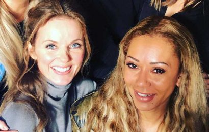 Mel B reignites Geri Horner bitter feud rumours as she shares Spice Girls throwback without her | The Sun