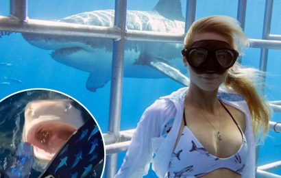 Model Ocean Ramsey breaks silence after nearly jumping into mouth of monster 16ft tiger shark | The Sun