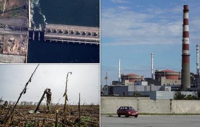 Putin&apos;s forces have targeted MULTIPLE nuclear power plants in Ukraine