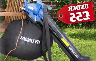 This leaf blower has 3,900 five-star Amazon reviews and it&apos;s under £55