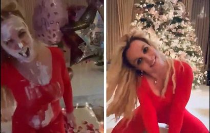 Britney Spears Celebrates Holidays, Birthday with Face Full of Cake
