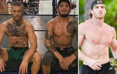 Conor McGregor's training partner Dillon Danis reveals he signed to fight Logan Paul until WWE star injured his knee | The Sun