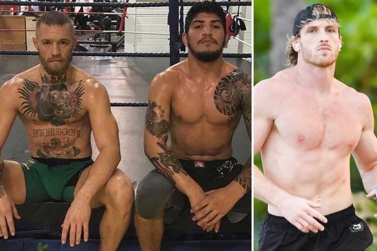 Conor McGregor's training partner Dillon Danis reveals he signed to fight Logan Paul until WWE star injured his knee | The Sun