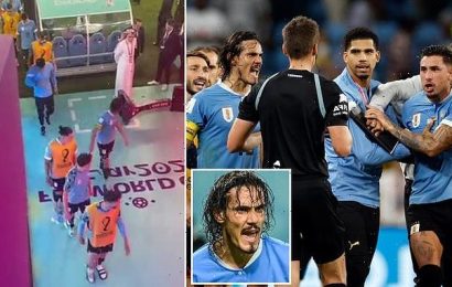 Edinson Cavani PUNCHES VAR monitor after Uruguay World Cup elimination