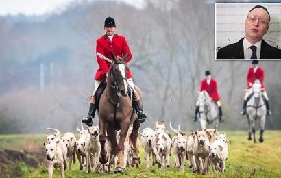 Hunting ban was driven by &apos;moral outrage&apos; rather than animal welfare
