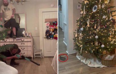 Terrifying moment a rat scurries from Christmas tree as dad leaps on cabinet and mum tries to shoot it with an air rifle | The Sun