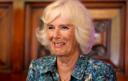 Camilla Parker-Bowles converted Prince Harry’s bedroom into her closet