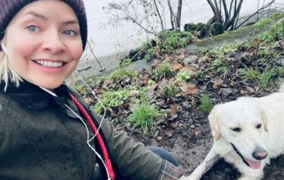 Holly Willoughby looks stunning in makeup free photo as she takes dog Bailey for a walk | The Sun