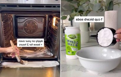 I’m a cleaning whizz – here’s how to keep your oven sparkling clean with two hero ingredients you already own | The Sun