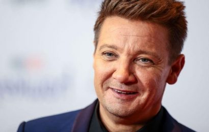 Jeremy Renner Out of the Hospital and at Home Following Snow Plow Accident