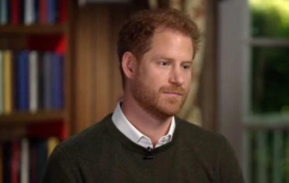 Prince Harry Rules Out Ever Returning as Full-Time Royal