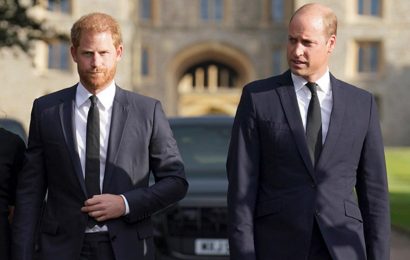 Prince Harry reveals the nicknames he uses with William amid brothers' bitter feud – which exploded into 'attack' | The Sun