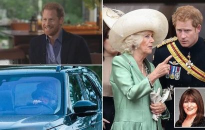 SARAH VINE: Prince Harry&apos;s portrait of Camilla bears no resemblance