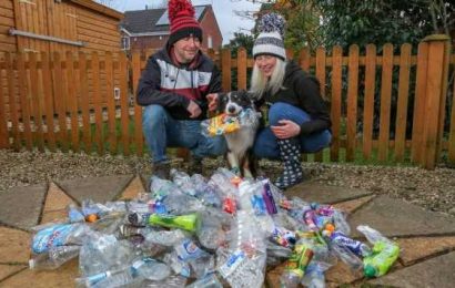 Superdog Scruff is saving the planet by keeping litter off streets