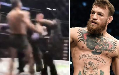 Watch never-before-seen footage of Conor McGregor punching Khabib’s team-mate in a brutal post-fight brawl – The Sun | The Sun