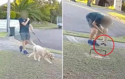 Dog walker caught on CCTV appearing to fake picking up his pooch&apos;s poo