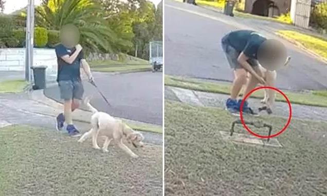 Dog walker caught on CCTV appearing to fake picking up his pooch&apos;s poo