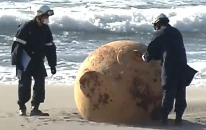 Mysterious giant metal sphere washes up in Japan