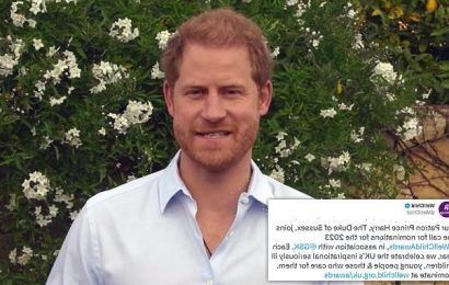 Prince Harry pays tribute to carers in WellChild promotional video