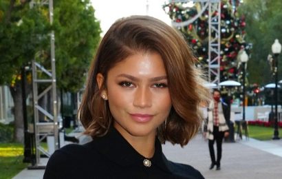 The Simple Reason Zendaya Doesn't Have Any Tattoos