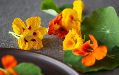 The edible flower that also looks stunning in bouquets