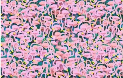 You could be in the top 1% if you can spot the hidden ballet dancer among these flamingos in five seconds | The Sun