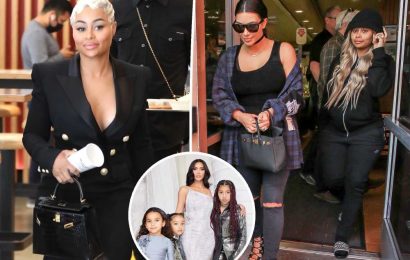 Blac Chyna supports ‘Dream’s auntie’ Kim Kardashian after defamation trial loss