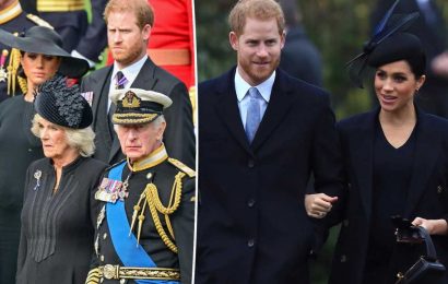 Coronation is chance for Harry, Meghan to show ‘respect’ for monarchy: expert