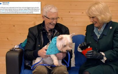 Dog owners post pet pictures in tribute to Paul O&apos;Grady