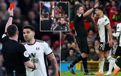 Fulham&apos;s Mitrovic facing long ban after shoving ref
