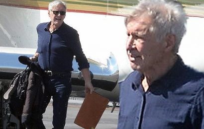 Harrison Ford shows off his strength as he unloads his private Jet