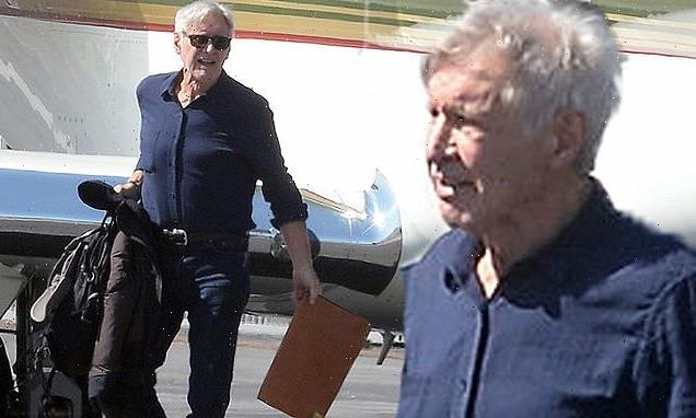 Harrison Ford shows off his strength as he unloads his private Jet