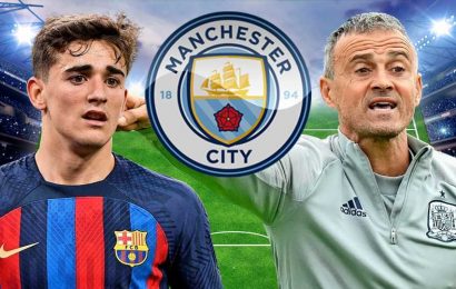 How Man City could line up under Luis Enrique if he replaces Pep Guardiola with raid on Barcelona midfield duo | The Sun