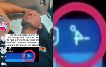 Man says wife mistook dashboard sign for &apos;person sitting on the loo&apos;